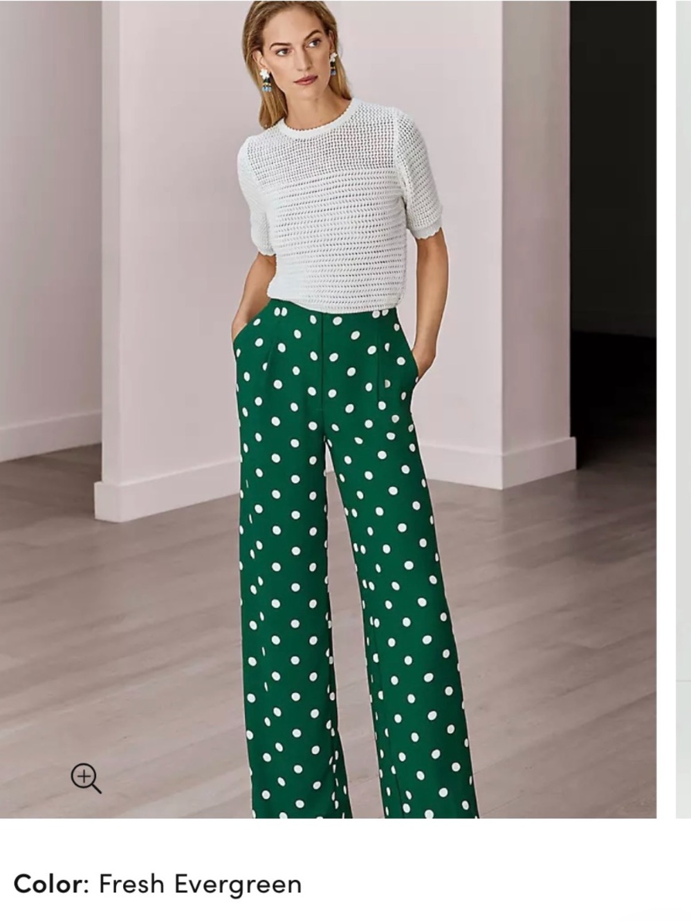 Anne Taylor Pleated Wide Leg Pant in Dotted Crepe